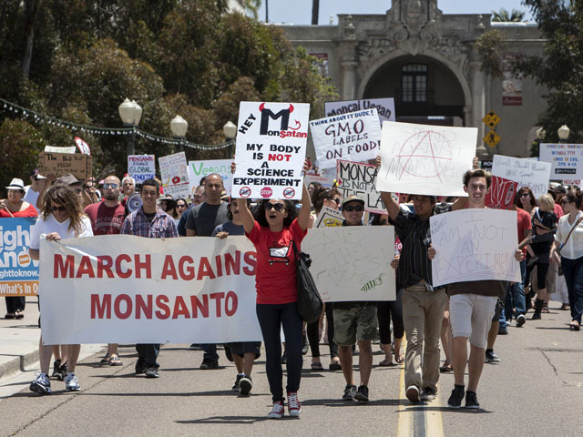 Monsanto обещает прекратить продвижение генетически модифицированных семян и растений в Европе