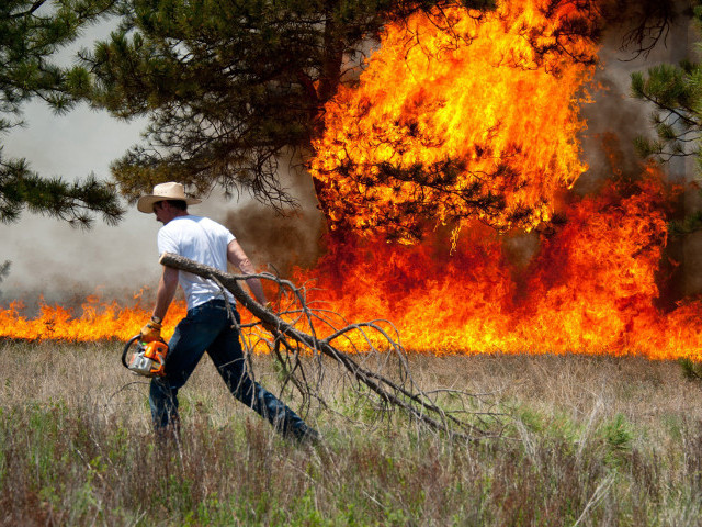Бушующие в американском Колорадо лесные пожары признаны самыми разрушительными в истории этого штата. Жертвами стихийного бедствия уже стали два человека