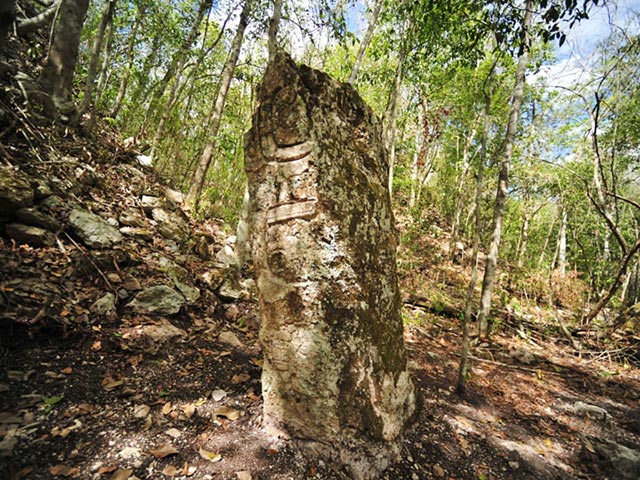 Международная команда археологов, занимающаяся обследованием диких труднодоступных районов Мексики, случайно обнаружила древний город индейцев майя