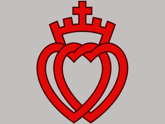 Священническое братство святого Пия X было созданно в 1970 году архиепископом Марселем Лефевром. Оно объединяет католиков-традиционалистов, не принявших решения Второго Ватиканского собора