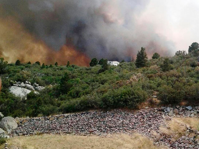 В Аризоне при тушении лесного пожара погибли до 29 пожарных