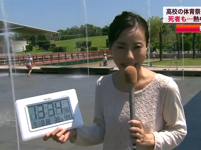 Количество погибших от сильной жары в Японии в первую неделю июля достигло трех человек, еще 2594 госпитализированы, в том числе 58 - на срок до трех недель и более