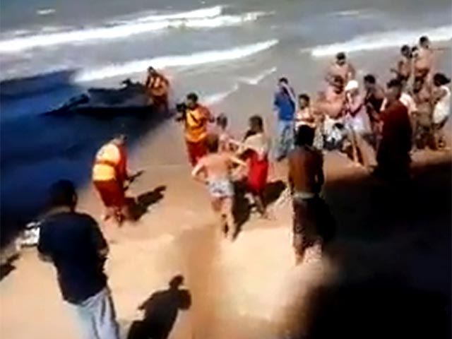 В Бразилии скончалась туристка, которая за несколько часов до своей смерти пережила нападение акулы. 18-летняя Бруна да Силва Гобби из Сан-паулу отдыхала на побережье в городе Ресифи и утром 22 июля решила искупаться в море