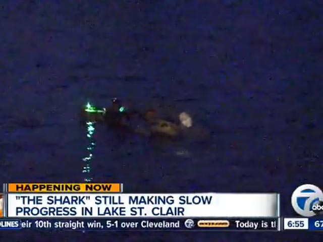Американец, отправившийся в заплыв с тонной кирпичей, заблудился в озере Сент-Клэр