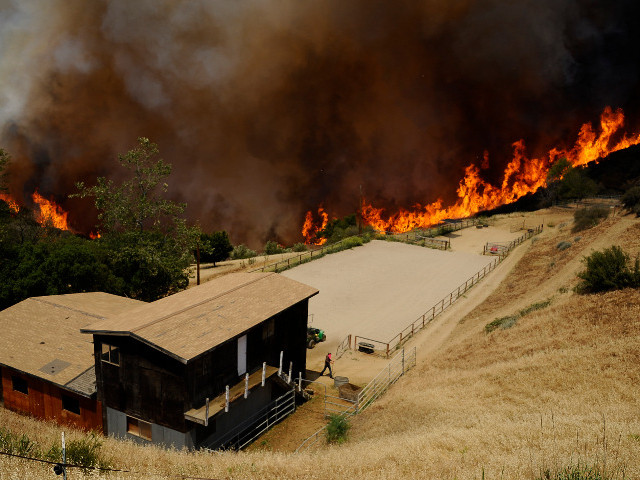 Жаркая и преимущественно сухая погода, установившаяся в августе на западе США, стала причиной возникновения многочисленных лесных пожаров