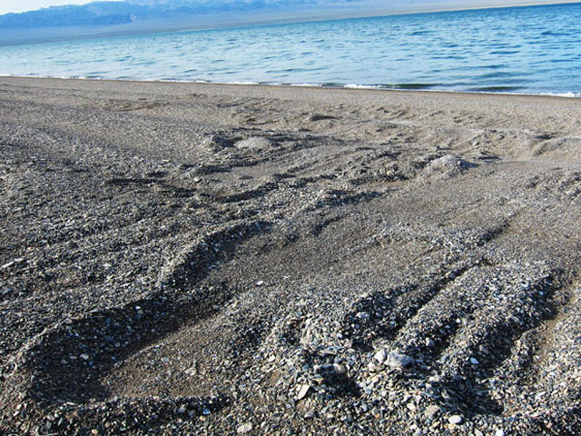 В Монголии пытаются разгадать происхождение загадочных следов, которые периодически появляются на берегу местного озера Хяргас-Нуур