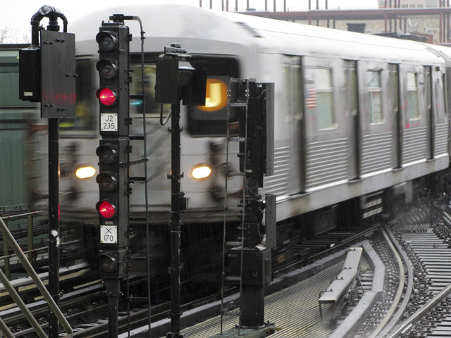 В метро Нью-Йорка движение поездов было остановлено почти на два часа из-за котят, которые оказались на путях в районе Бруклин