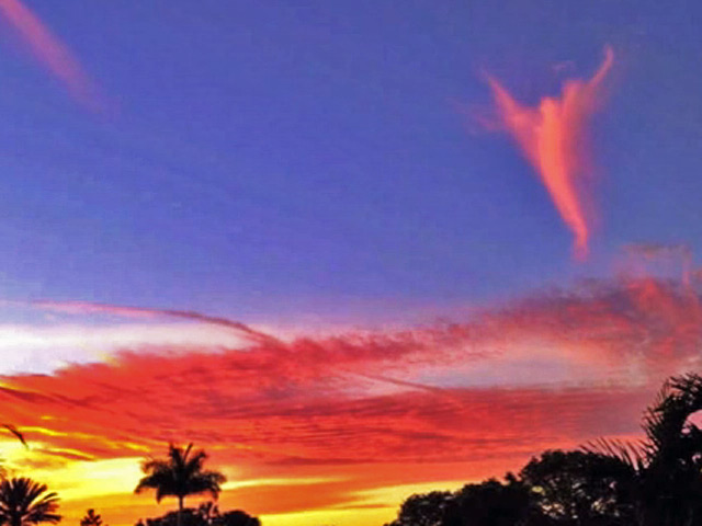 В английском графстве Девон житель небольшого курортного городка Сидмут около 19:30 по местному времени увидел и успел запечатлеть сияющего в небе ангела - именно такую форму приобрело закатное облако над его домом