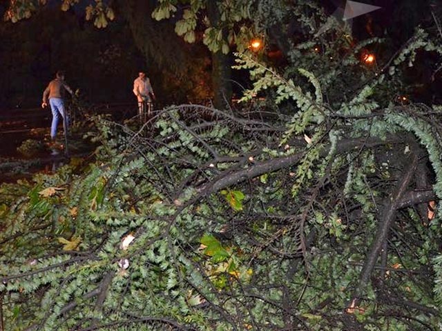 Ураганные порывы ветра повалили деревья, рекламные щиты, повредили кровлю и балконы у домов, многие автомобили серьезно пострадали