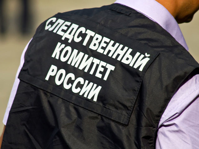 Следственное управление СКР по Челябинской области заинтересовалось фактом стриптиза с российским флагом, о котором узнало благодаря публикации в СМИ