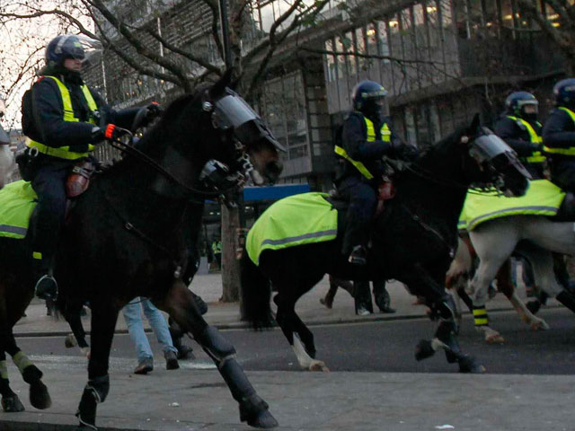 Фанат "Ньюкасла" получил год тюрьмы за избиение лошади полицейского