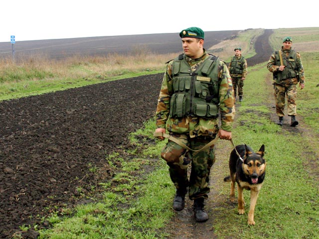 Российские пограничники начали выставлять заграждения из колючей проволоки на границе с Украиной