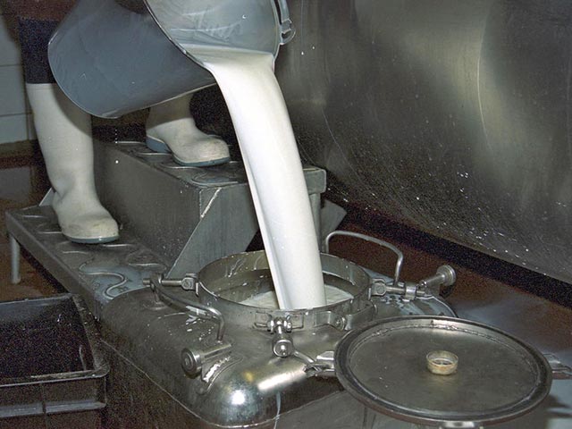 Из-за дефицита цены на сырое молоко выросли до рекордных уровней. Закупочные цены на сырое молоко по сравнению с прошлым годом выросли на четверть: в среднем по стране килограмм такого молока обходится переработчику в 16 рублей