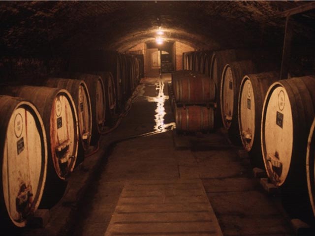 Италия вышла в мировые лидеры по производству вина