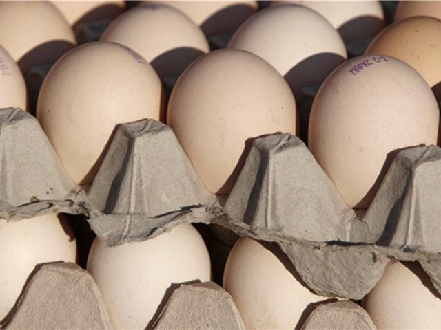Этой осенью лидерами по росту цен оказались куриные яйца, занимающие существенную долю в продовольственной корзине россиян