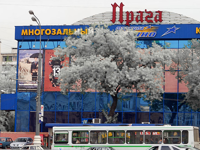 Полиция задержала пятерых приезжих из Чечни за организацию массовой драки около кинотеатра "Прага" в четверг