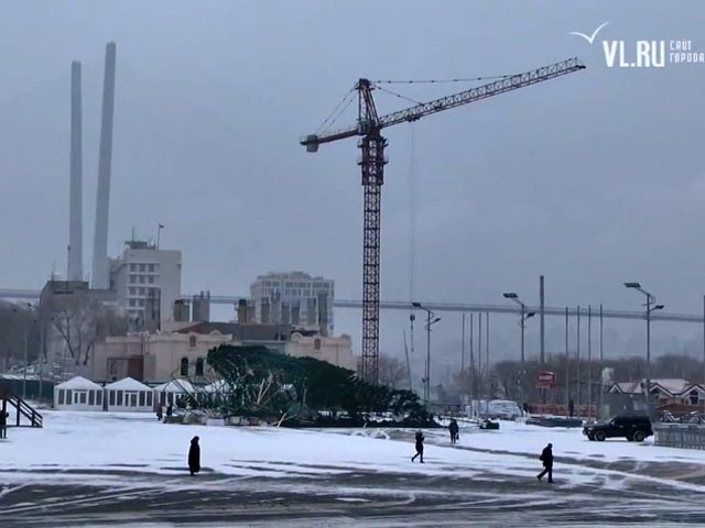 В центре Владивостока рухнула 32-метровая ель, установленная к Новому году