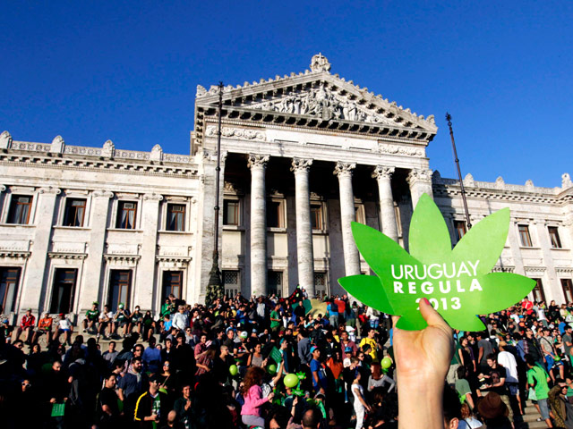 Уругвай стал первой в мире страной, легализовавшей производство и продажу марихуаны. Соответствующий законопроект принял сенат вслед за нижней палатой парламента, одобрившей его еще 1 августа