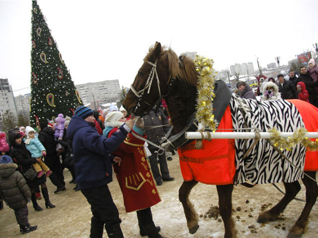 В Иваново лошадь Деда Мороза околела от громкой музыки