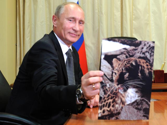 Владимир Путин с фотографией леопарда, Владивосток, 8 сентября 2011 года