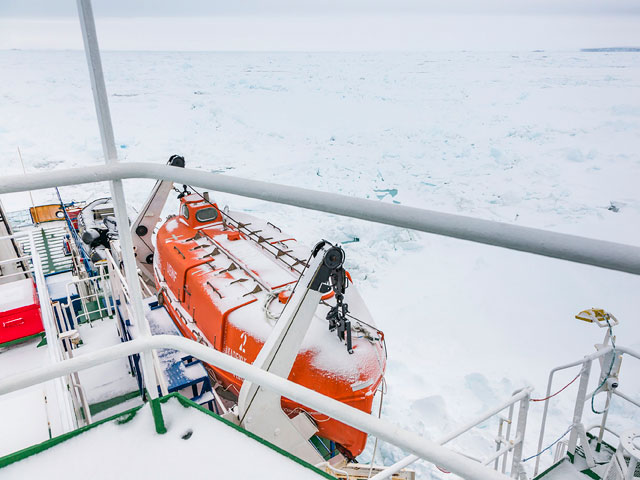 Австралийский ледокол не смог вывести "Академика Шокальского" изо льдов под ливневым снегом