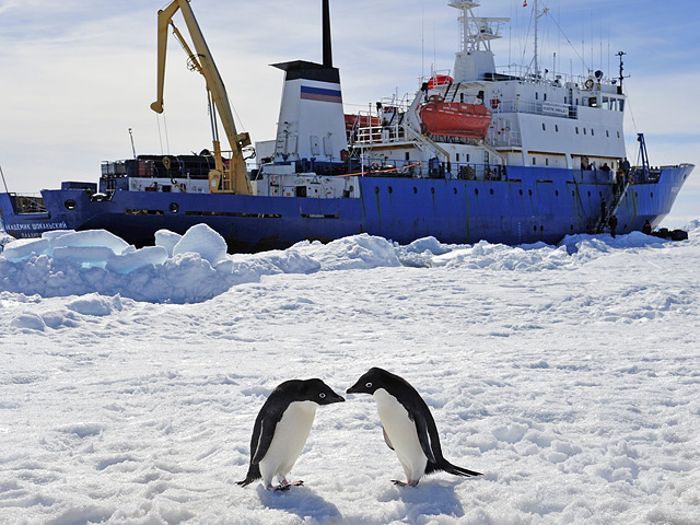 Научно-исследовательское судно "Академик Шокальский" начал самостоятельно выходить из антарктического ледового плена