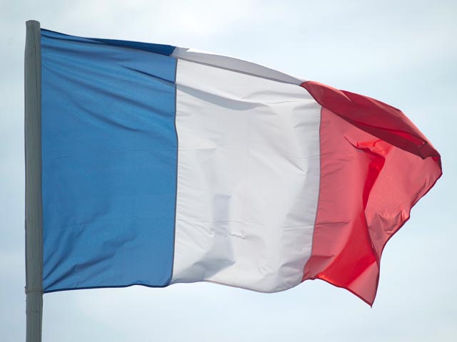 Франция разрешила сирийской делегации лететь на "Женеву-2" через свое воздушное пространство