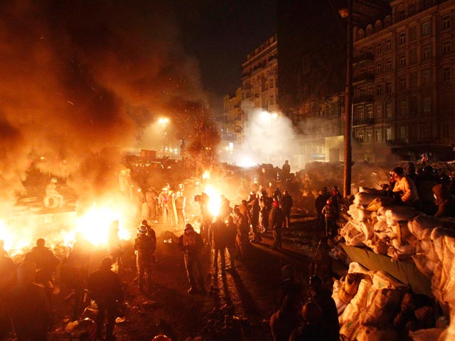 Киев, 24 января 2014 года