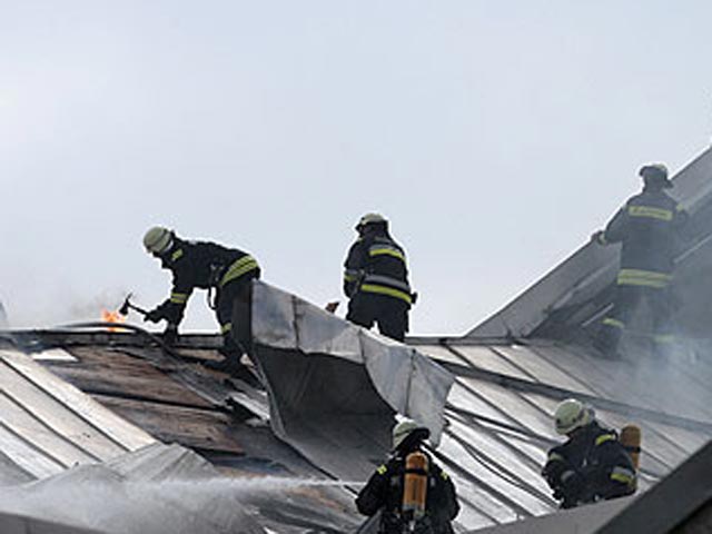 Немецкие коровы взорвали хлев своими газами - воспламенившийся метан повредил крышу здания