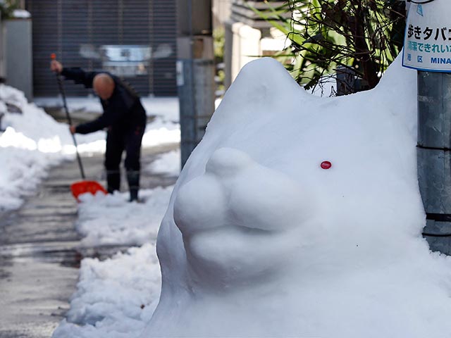 Снегопад в центральных районах Японии стал сильнейшим за последние 45 лет. Жертвами стихии стали уже семь человек