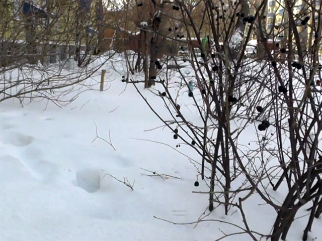 Снег черного цвета выпал в Омске в районе улиц Северных