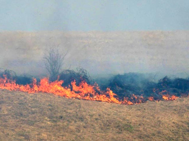 В центре "Антистихия" МЧС РФ дали неутешительный прогноз по возникновению чрезвычайных ситуаций в 2014 году. В ряде регионов отмечено значительное отклонение нормы запасов воды в снежном покрове, что может вызвать масштабные природные пожары