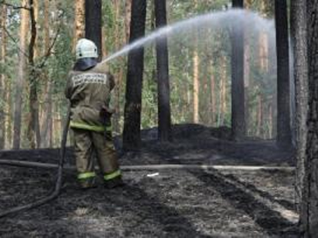 Режим ЧС регионального характера объявлен в лесах Приморья в связи с пожароопасной обстановкой