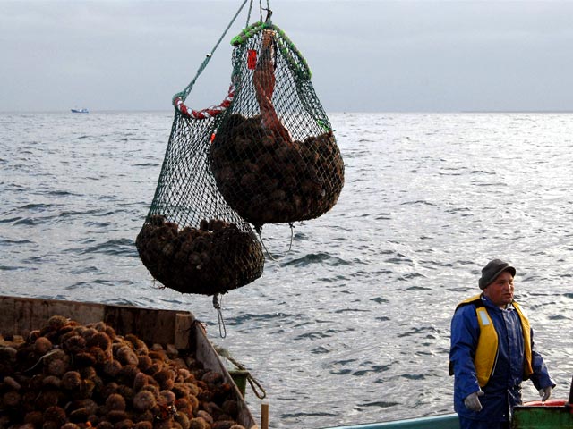 Комиссия ООН по границам континентального шельфа признала право России на Охотское море, подтвердив притязания Москвы на значительные объемы рыбных и минеральных ресурсов
