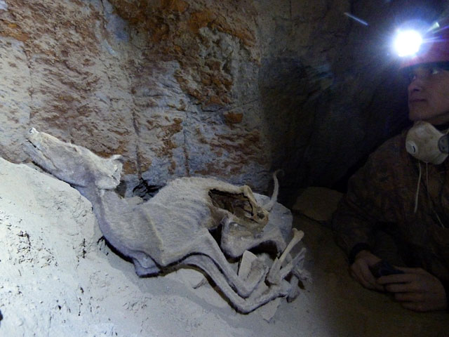 Иркутские спелеологи вместе с учеными из Иркутска и Улан-Удэ обследовали восемь новых пещер в Бурятии