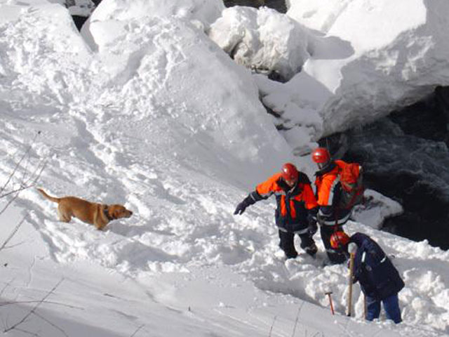 Спасатели ищут пострадавших на горнолыжном курорте "Роза Хутор", где сошла лавина
