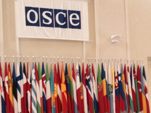Миссия ОБСЕ на Украине будет полностью развернута к 29 марта