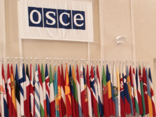 Швейцария, председательствующая в Организации по безопасности и сотрудничеству в Европе (ОБСЕ), назначила руководство специальной миссии наблюдателей на Украине