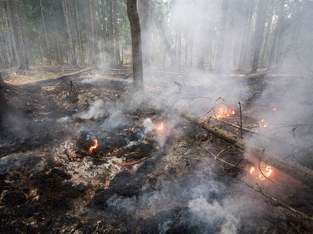 Наиболее сложная ситуация с природными пожарами сложилась в Сибири и на Дальнем Востоке