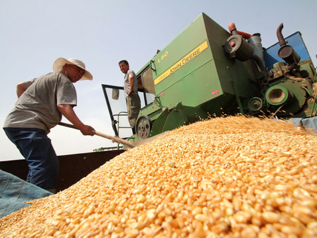 Всемирный банк и ООН обеспокоены ростом цен на зерно