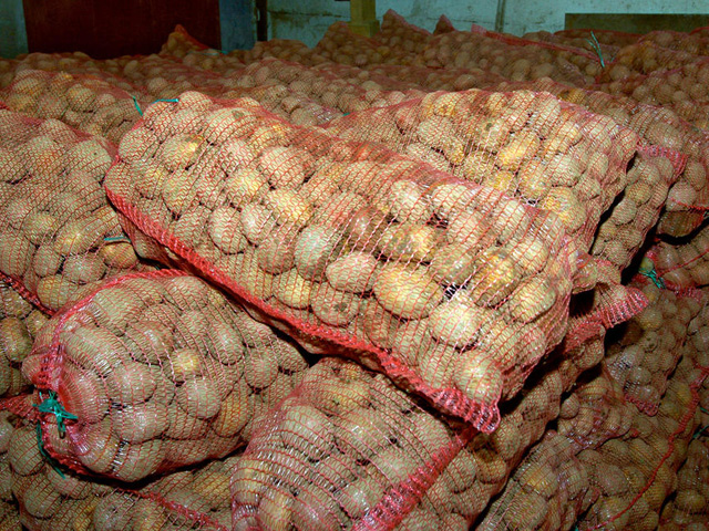 Россельхознадзор с 16 июня вводит временные ограничения на ввоз продовольственного картофеля из Украины в Россию