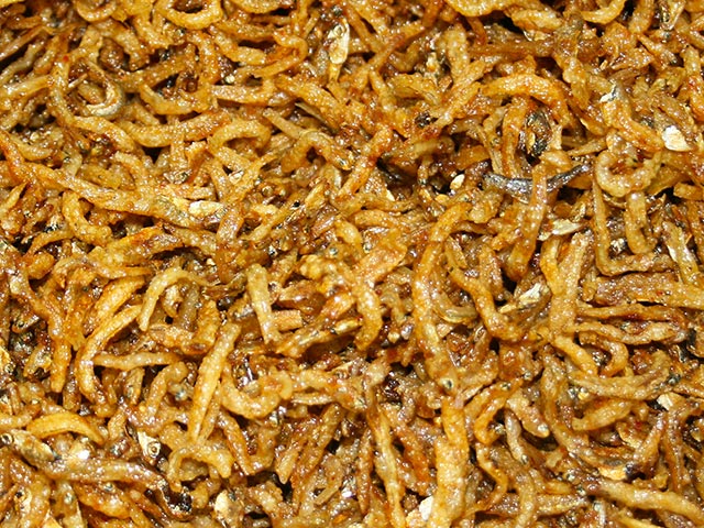 Нидерландские ученые предположили, что спустя несколько десятков лет личинки насекомых будут активно использоваться в качестве корма в животноводстве