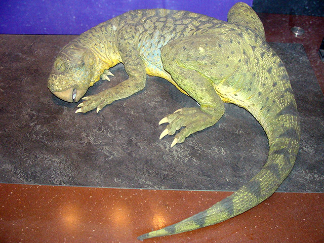 Пситтакозавр, Лондонский музей естественной истории