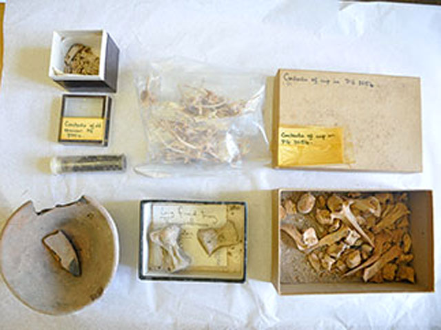 Неожиданная археологическая находка была сделана в одном из университетов Великобритании