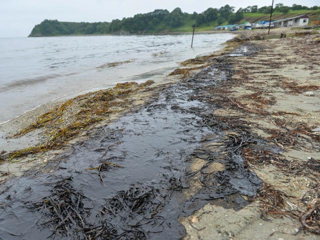 В Приморье произошло экологическое ЧП: в Хасанском районе зафиксирован масштабный разлив нефти по поверхности воды