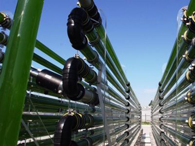 Американская компания подписала с Ираном предварительное соглашение об инвестициях в проект по биоэнергетике