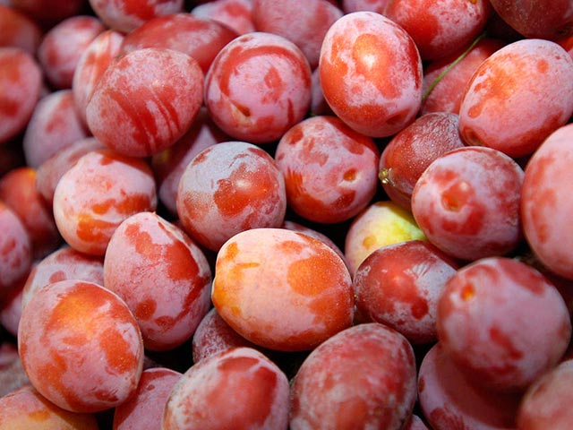 Запрет введут, если в молдавских фруктах снова найдут вредителей. В прошлом году в яблоках и сливах из Молдавии, которые ввозили в Россию, в 15 случаях выявили восточную плодожорку