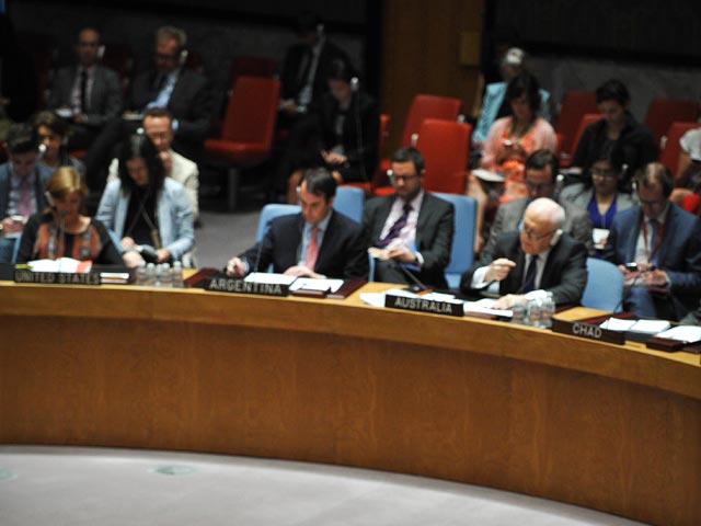 Совбез ООН выступил за скорейшее прекращение огня между Израилем и палестинцами