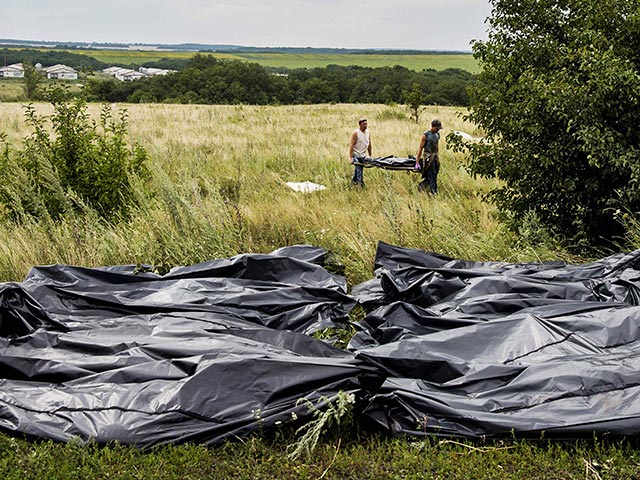К вечеру 20 июля поисковики обнаружили 251 тело и 86 фрагментов останков пассажиров, летевших рейсом авиакомпании Malaysia Airlines, который потерпел крушение в Донецкой области 17 июля