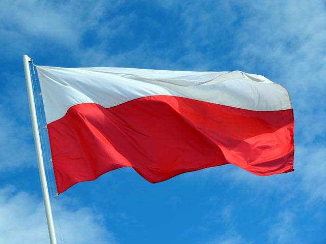 Польское правительство отменило мероприятия Года Польши в России, запланированные на 2015 год, из-за ситуации на Украине